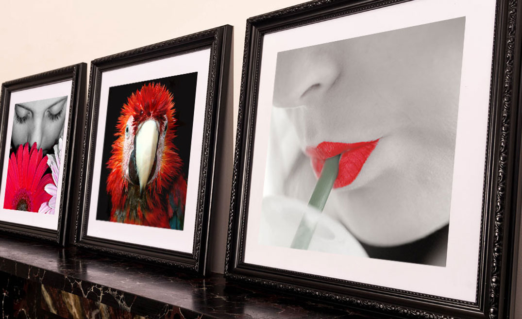 8x10 Photo Prints - Gloss or matte 8 x 10 inch photo & artwork printing  online